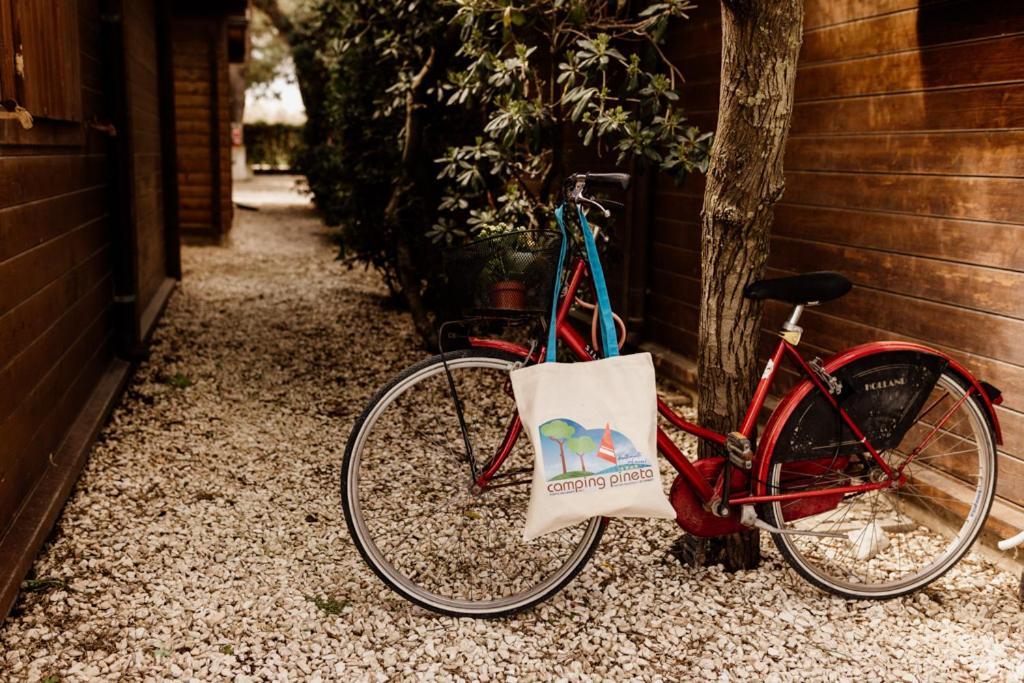 Camping La Pineta Porto Recanati Eksteriør billede